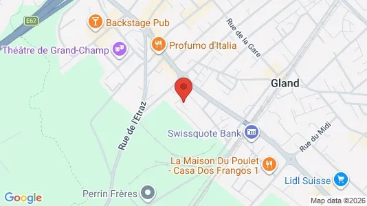 Apartments for rent i Nyon - kort over placeringen