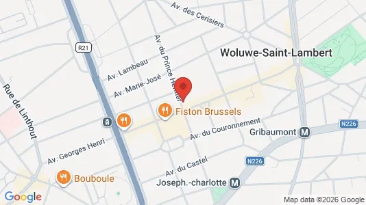 Apartments for rent i Brussels Sint-Lambrechts-Woluwe - kort over placeringen