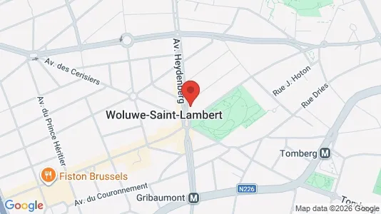Apartments for rent in Brussels Sint-Lambrechts-Woluwe - Photo from Google Street View