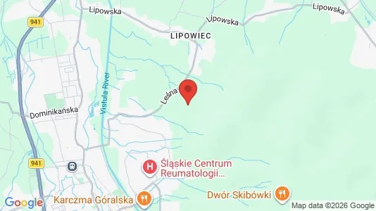 Houses for rent in Cieszyński - Photo from Google Street View