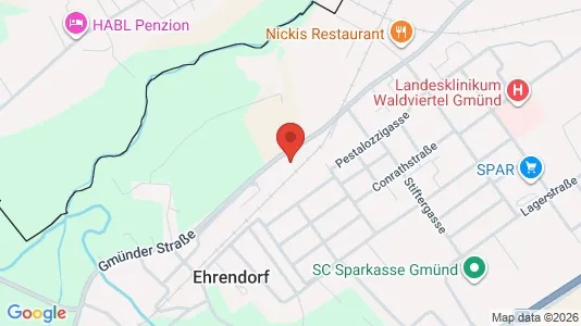 Apartments for rent i Gmünd - kort over placeringen