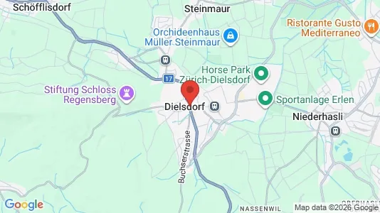 Apartments for rent i Dielsdorf - kort over placeringen