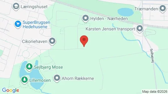 Apartments for rent in Hedehusene - Photo from Google Street View