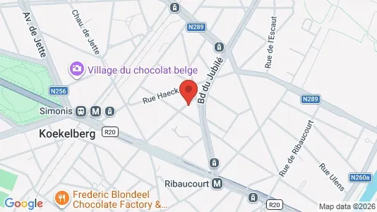 Apartments for rent in Brussels Sint-Jans-Molenbeek - Photo from Google Street View