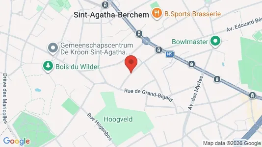 Apartments for rent in Brussels Sint-Agatha-Berchem - Photo from Google Street View