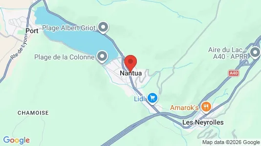 Apartments for rent i Nantua - kort over placeringen