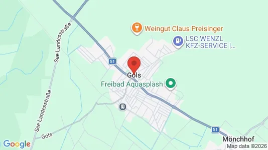 Apartments for rent in Gols - Photo from Google Street View