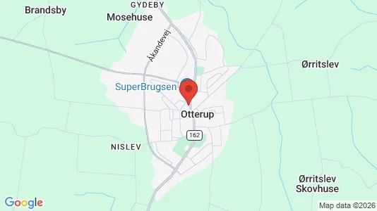 Houses for rent in Otterup - Photo from Google Street View