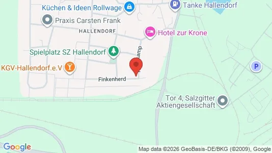 Apartments for rent in Salzgitter - Photo from Google Street View