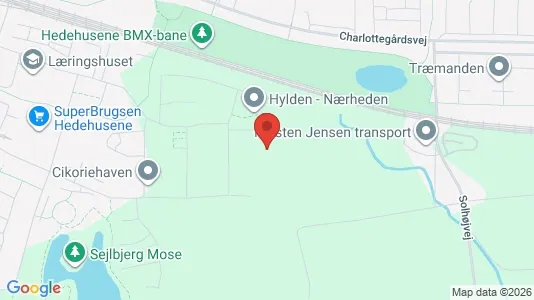 Apartments for rent in Hedehusene - Photo from Google Street View