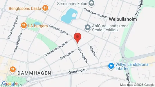 Apartments for rent in Landskrona - Photo from Google Street View