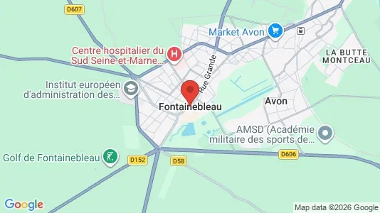 Apartments for rent i Fontainebleau - kort over placeringen