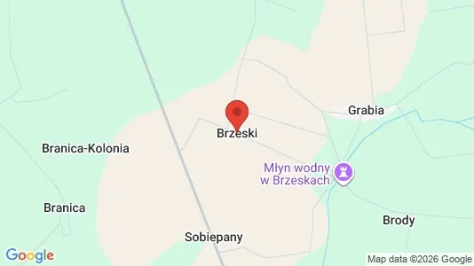 Houses for rent in Brzeski - Photo from Google Street View