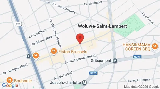 Apartments for rent i Brussels Sint-Lambrechts-Woluwe - kort over placeringen