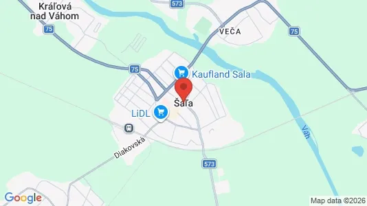 Apartments for rent in Šaľa - Photo from Google Street View