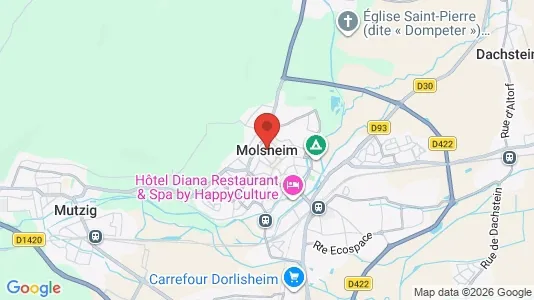 Apartments for rent in Molsheim - Photo from Google Street View