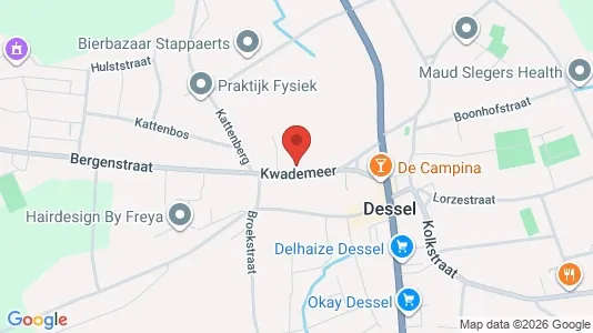 Apartments for rent in Dessel - Photo from Google Street View