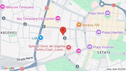 Apartments for rent i Timişoara - kort over placeringen