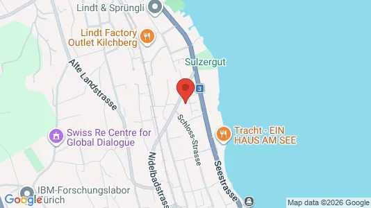 Apartments for rent i Horgen - kort over placeringen