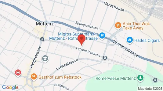 Apartments for rent i Arlesheim - kort over placeringen