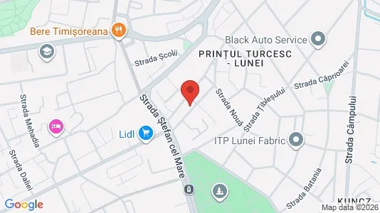 Apartments for rent i Timişoara - kort over placeringen