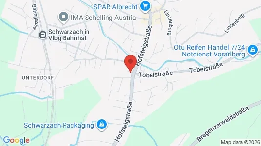 Apartments for rent i Bildstein - kort over placeringen