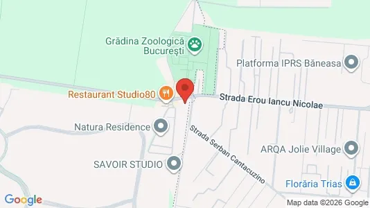 Apartments for rent i Voluntari - kort over placeringen