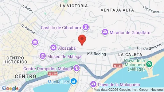 Apartments for rent i Málaga - kort over placeringen
