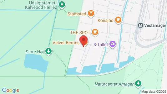 Apartments for rent i Copenhagen S - kort over placeringen