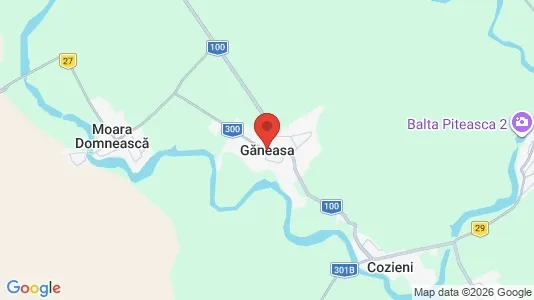 Houses for rent i Găneasa - kort over placeringen