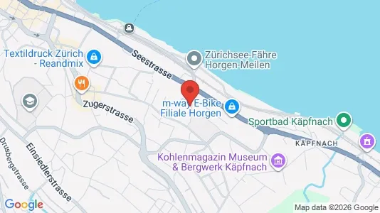 Apartments for rent i Horgen - kort over placeringen