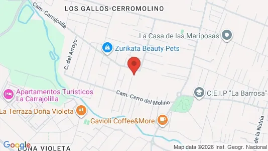 Apartments for rent i Chiclana de la Frontera - kort over placeringen