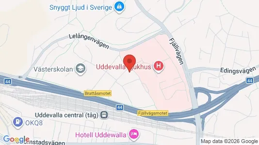 Apartments for rent i Uddevalla - kort over placeringen