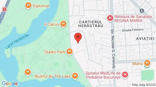 Apartments for rent i Voluntari - kort over placeringen