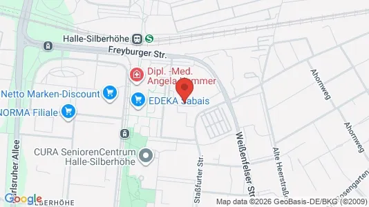 Apartments for rent i Halle (Saale) - kort over placeringen