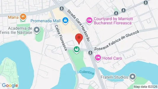Apartments for rent i Location is not specified - kort over placeringen