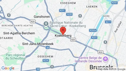 Apartments for rent in Brussels Koekelberg - Photo from Google Street View