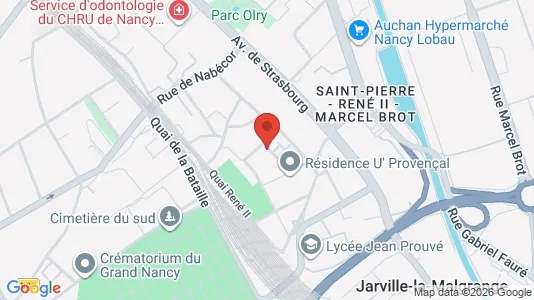 Apartments for rent i Nancy - kort over placeringen
