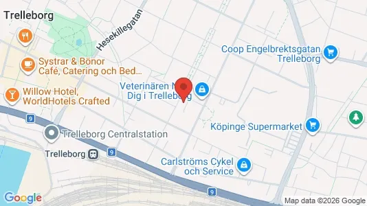 Apartments for rent in Trelleborg - Photo from Google Street View