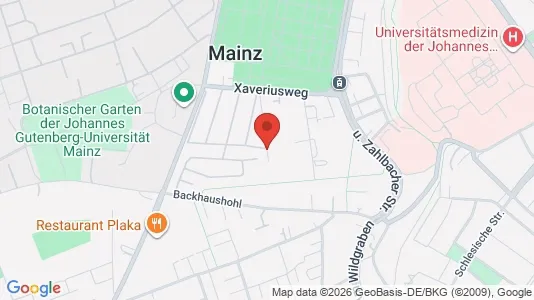 Apartments for rent in Mainz - Photo from Google Street View