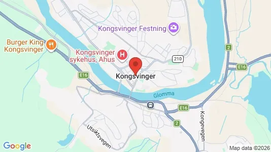 Houses for rent i Kongsvinger - kort over placeringen