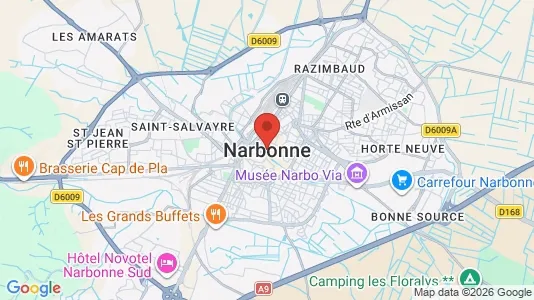 Apartments for rent i Narbonne - kort over placeringen