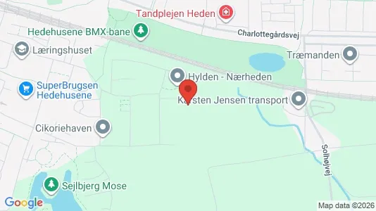 Apartments for rent in Hedehusene - Photo from Google Street View