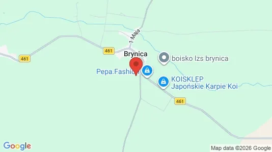 Houses for rent in Opolski - Photo from Google Street View