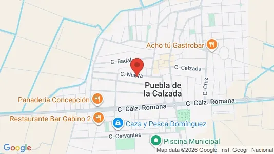 Apartments for rent i Puebla de la Calzada - kort over placeringen