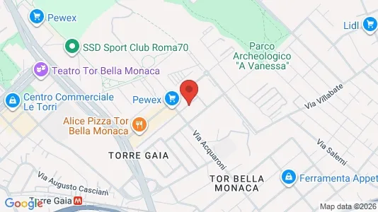 Apartments for rent i Roma Municipio VI – Roma Delle Torri - kort over placeringen