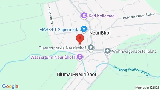 Apartments for rent in Blumau-Neurißhof - Photo from Google Street View