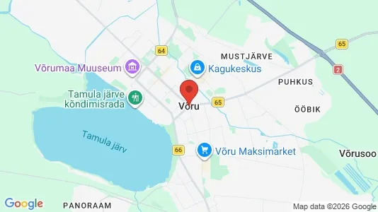 Houses for rent in Võru - Photo from Google Street View