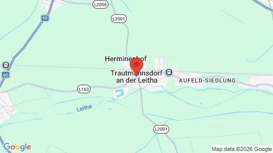 Apartments for rent in Trautmannsdorf an der Leitha - Photo from Google Street View