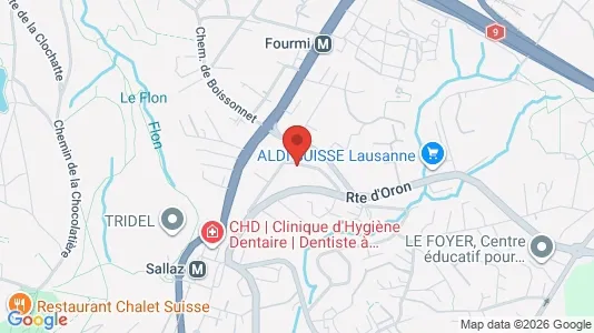 Apartments for rent i Lausanne - kort over placeringen